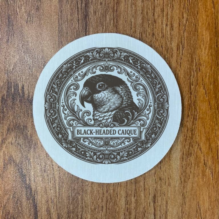 ズグロシロハラインコのルネサンス肖像画コースターセット（3枚目）