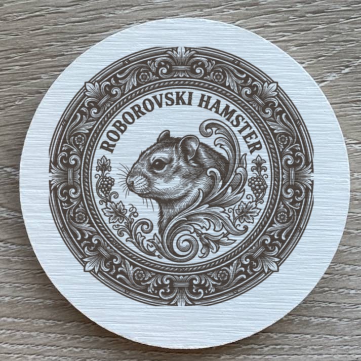 Roborovski hamster — photo 2