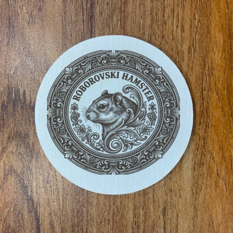 Roborovski hamster — photo 3