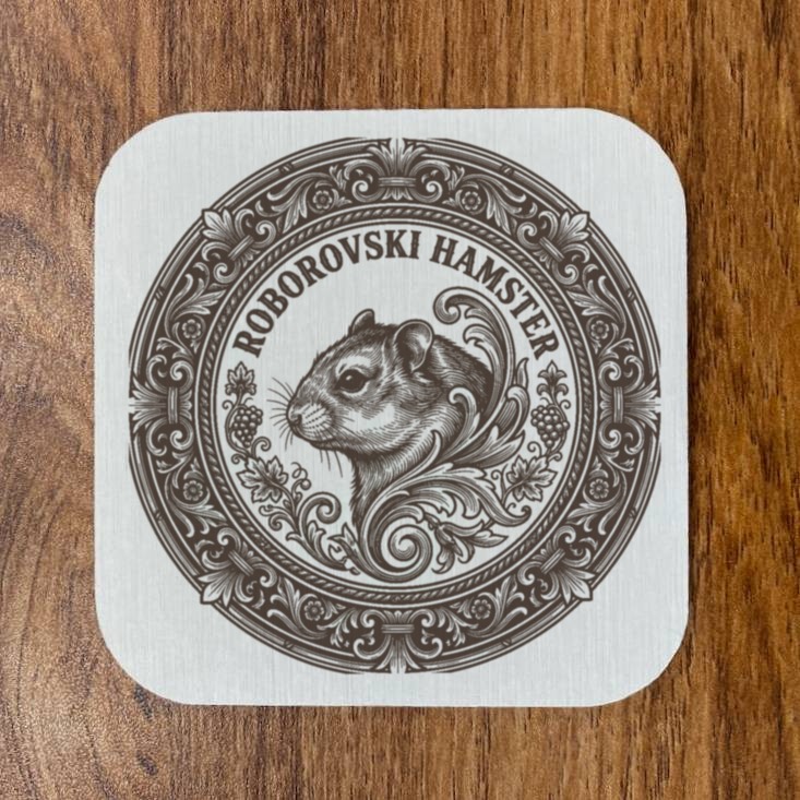 Roborovski hamster — photo 4