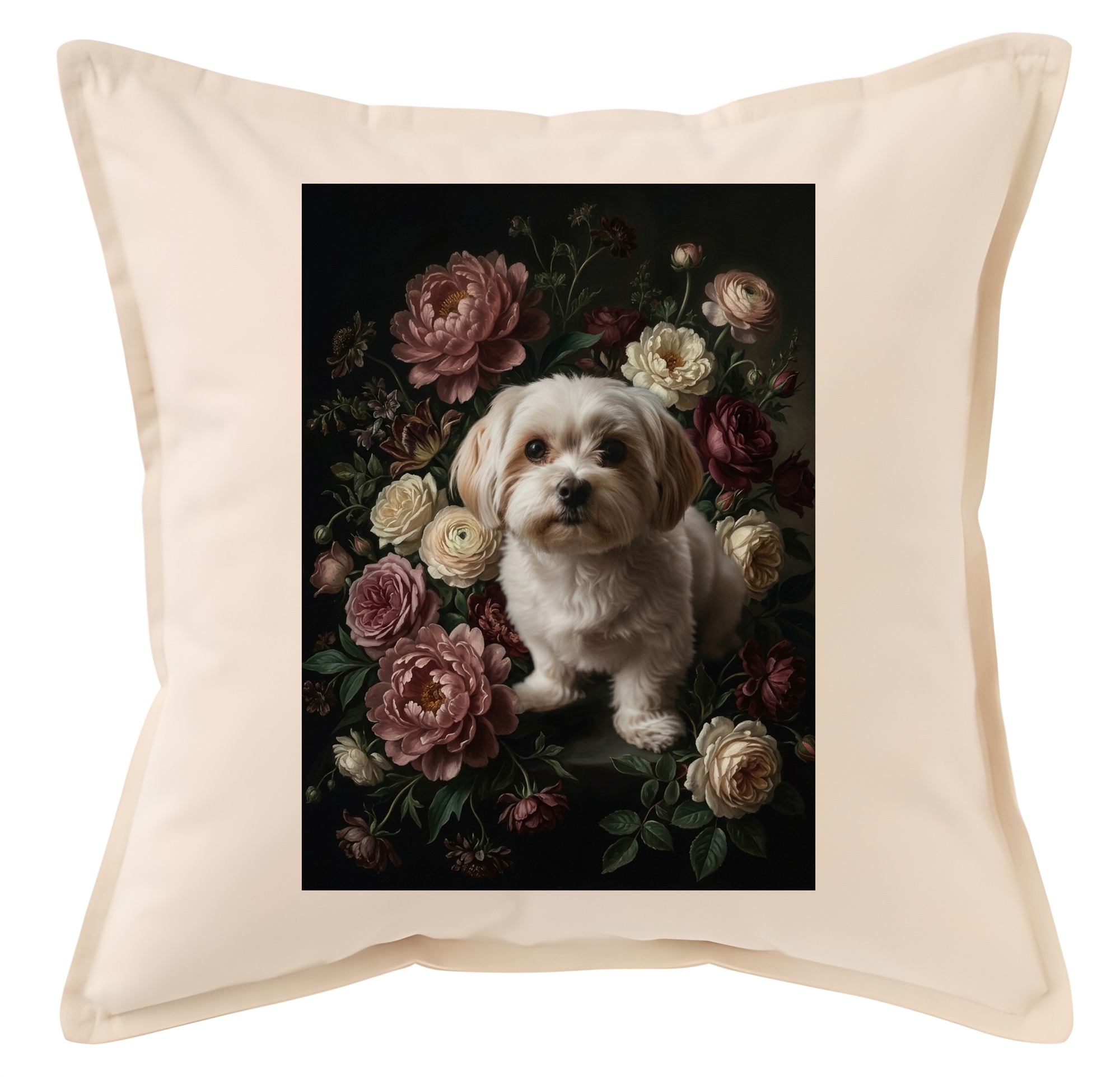 Maltese Dog — photo 1