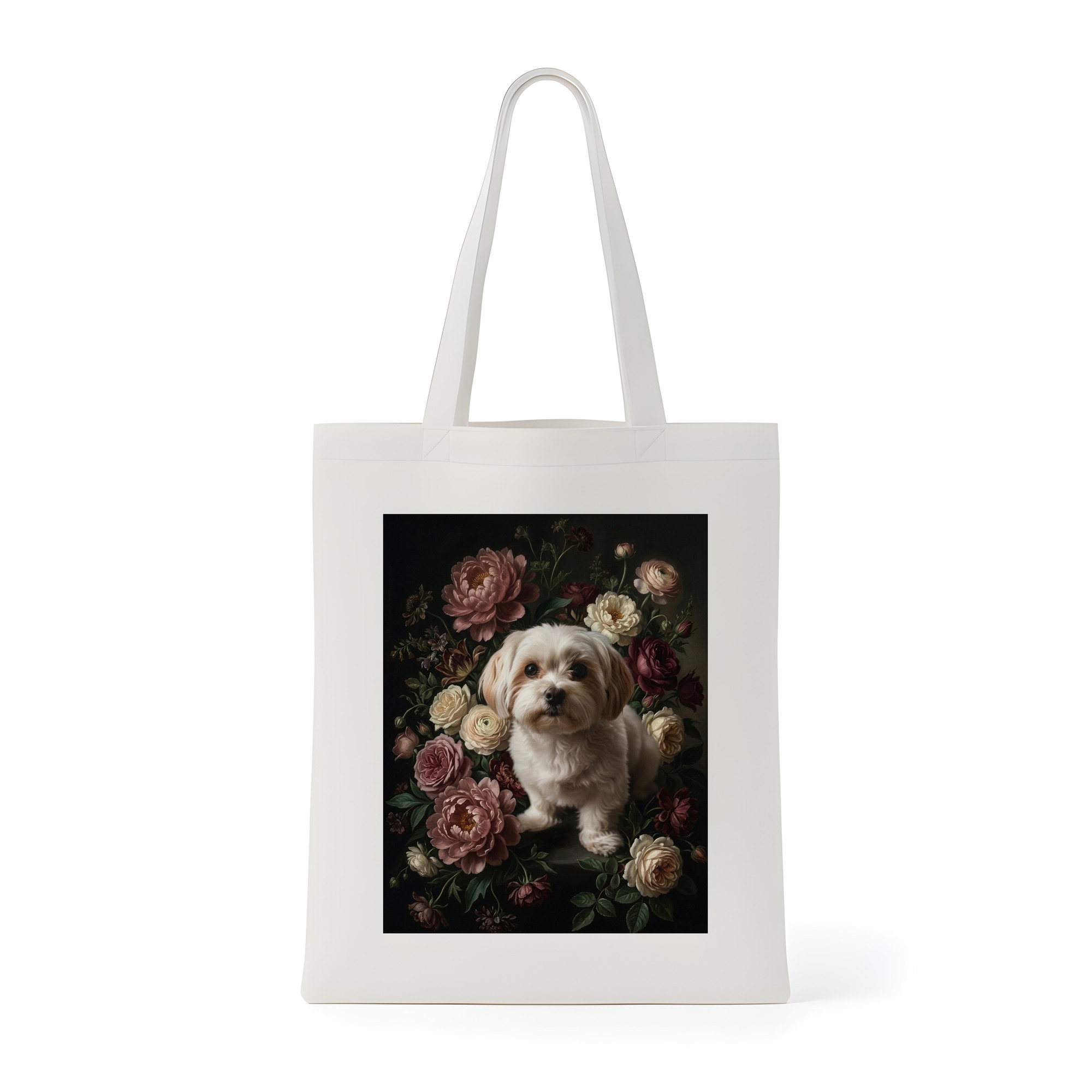 Maltese Dog — photo 1