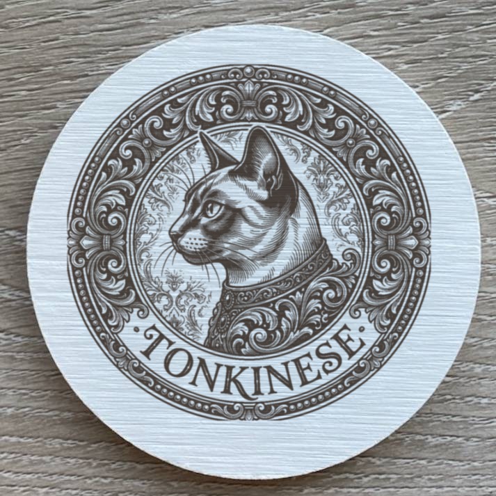 Tonkinese Cat — photo 2