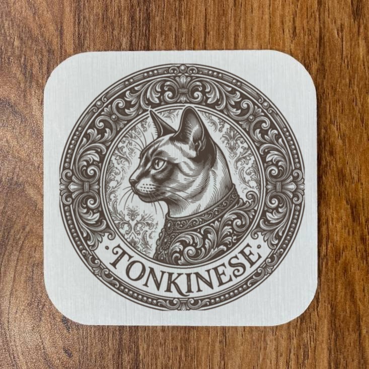 Tonkinese Cat — photo 4