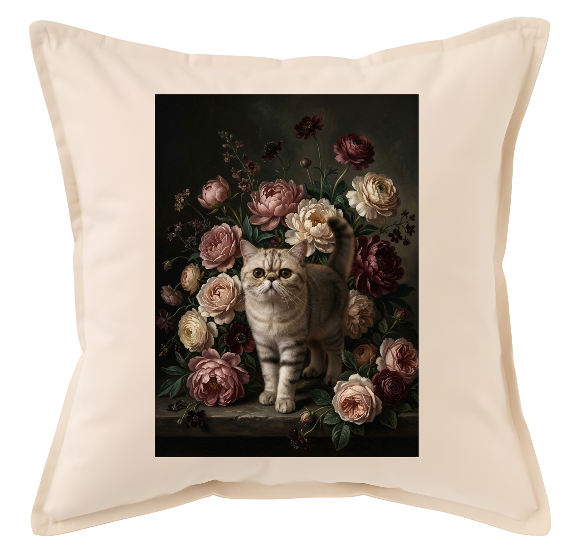 Exotic Shorthair Cat — photo 1