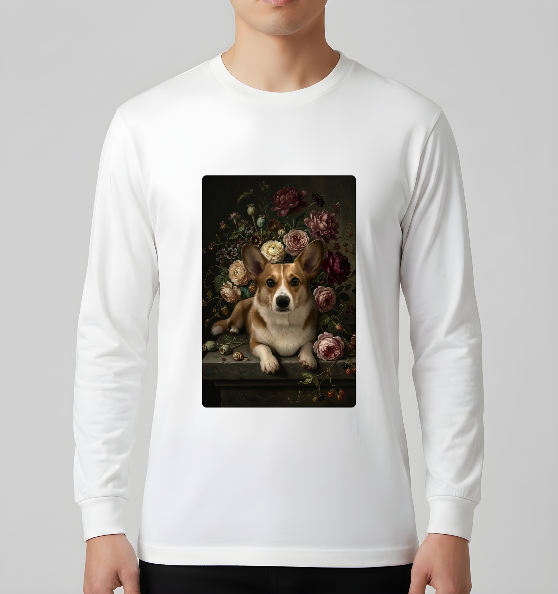 Pembroke Welsh corgi Dog — photo 3