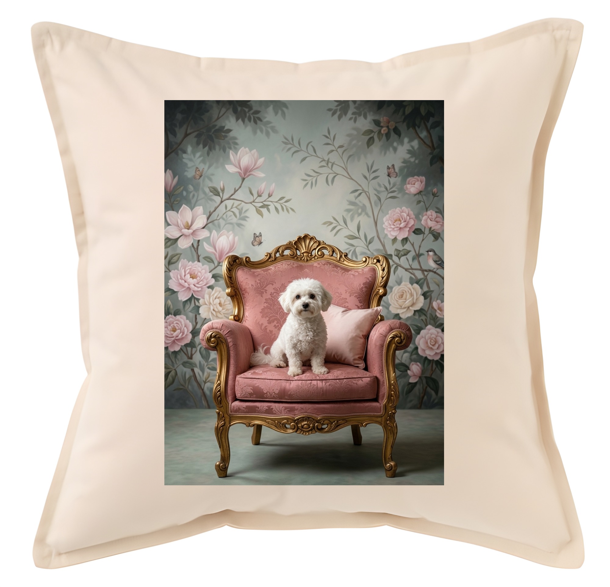 bichon frise Dog — photo 1