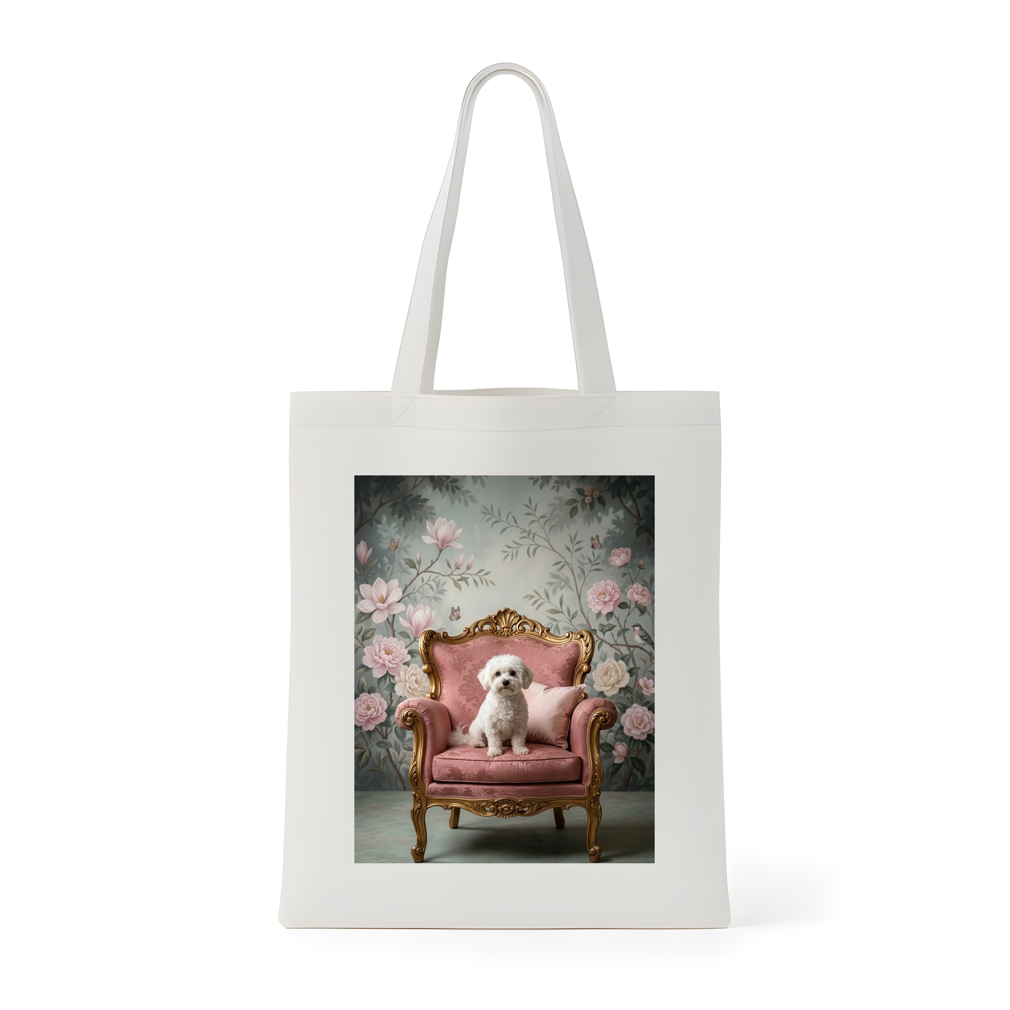 bichon frise Dog — photo 1