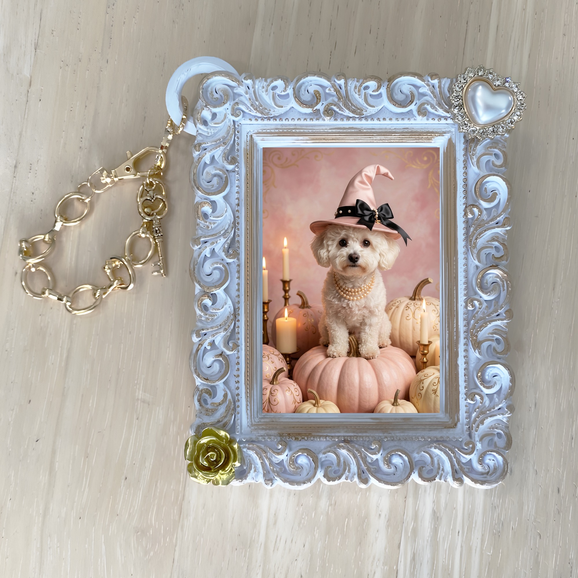 bichon frise Dog — photo 4