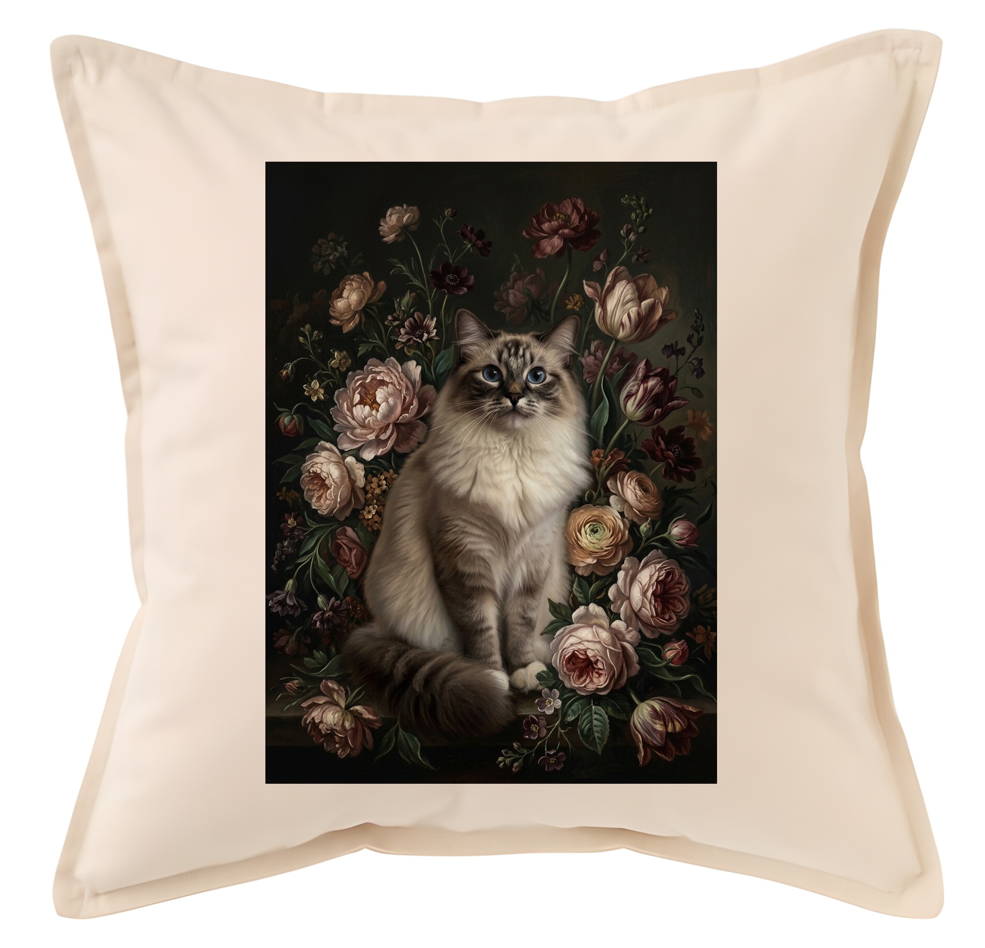Ragdoll Cat — photo 1