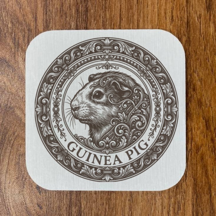 モルモットのコースターセット 4枚目