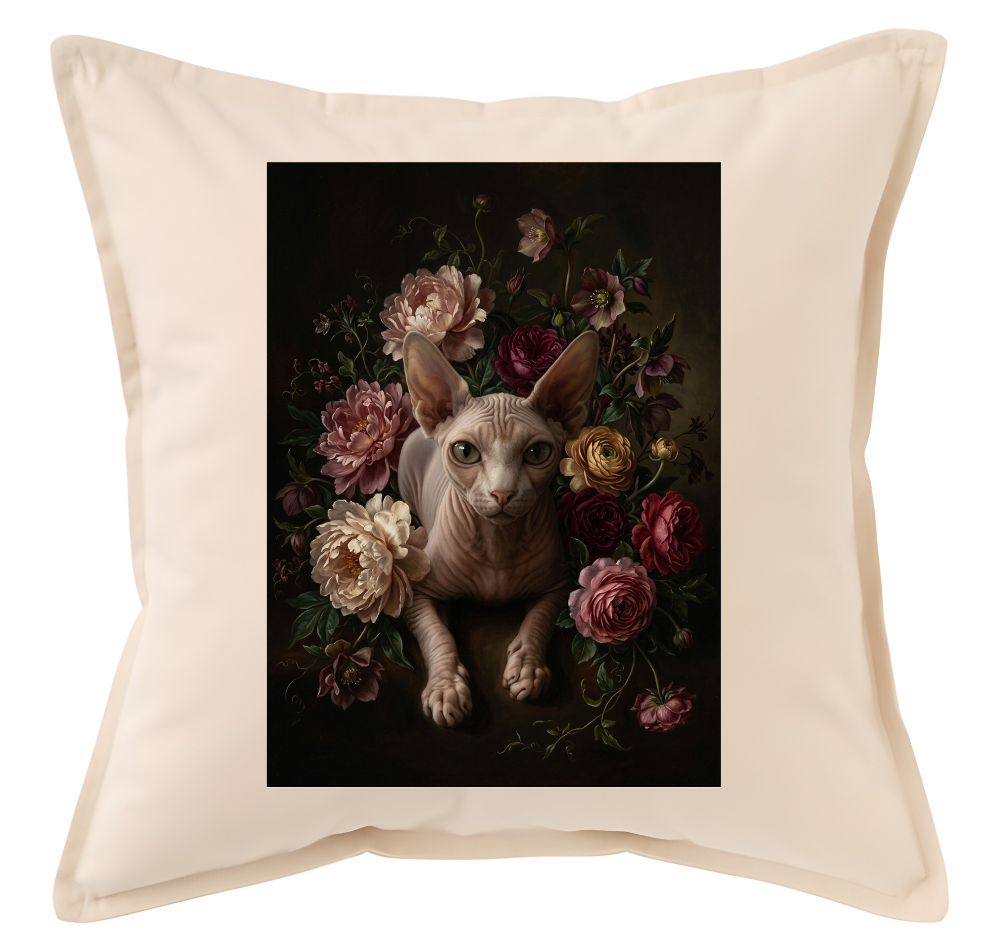 Sphynx Cat — photo 1