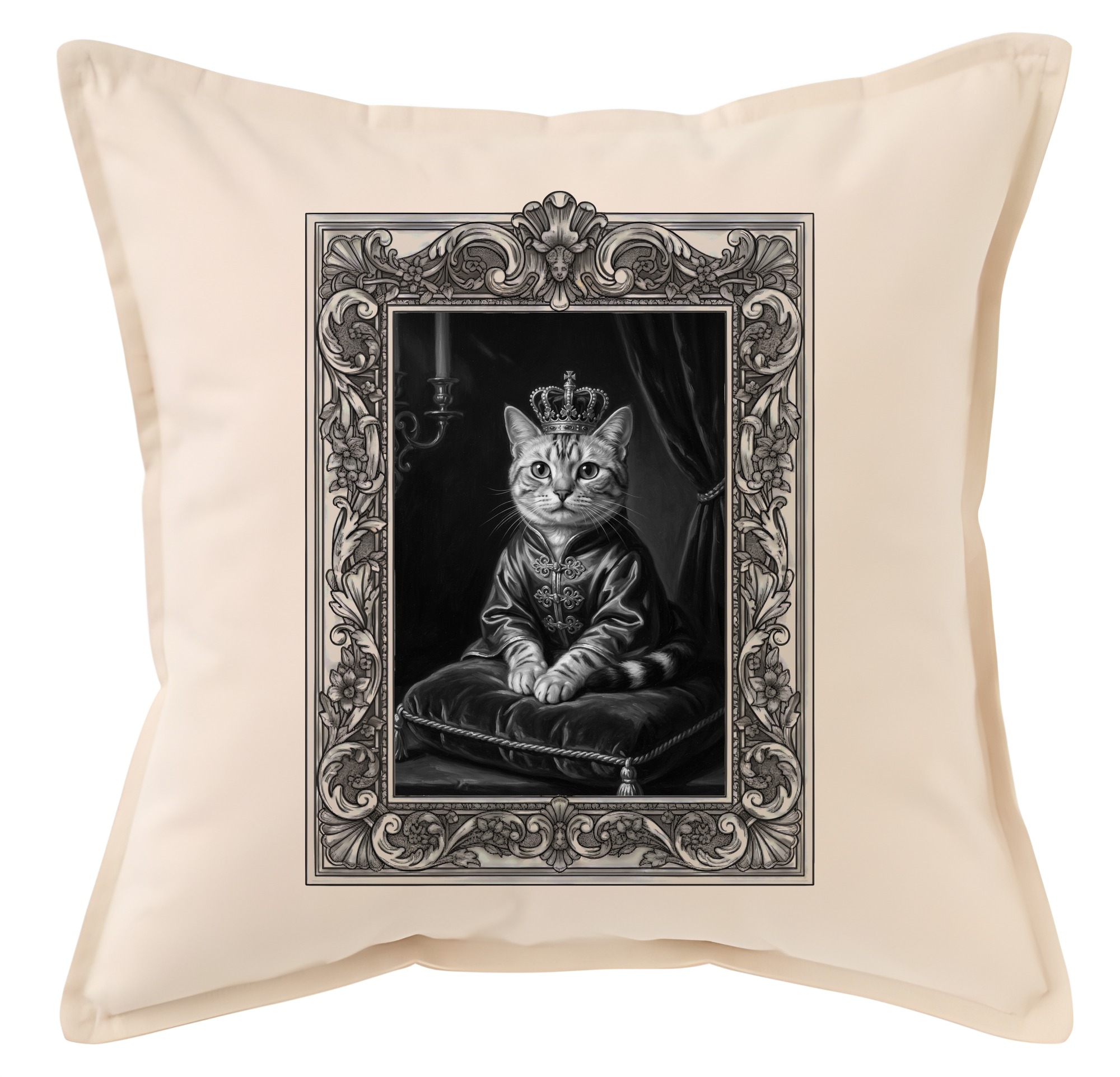 American Shorthair Cat — photo 1