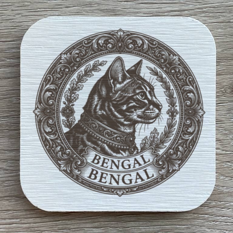 Bengal Cat — photo 1