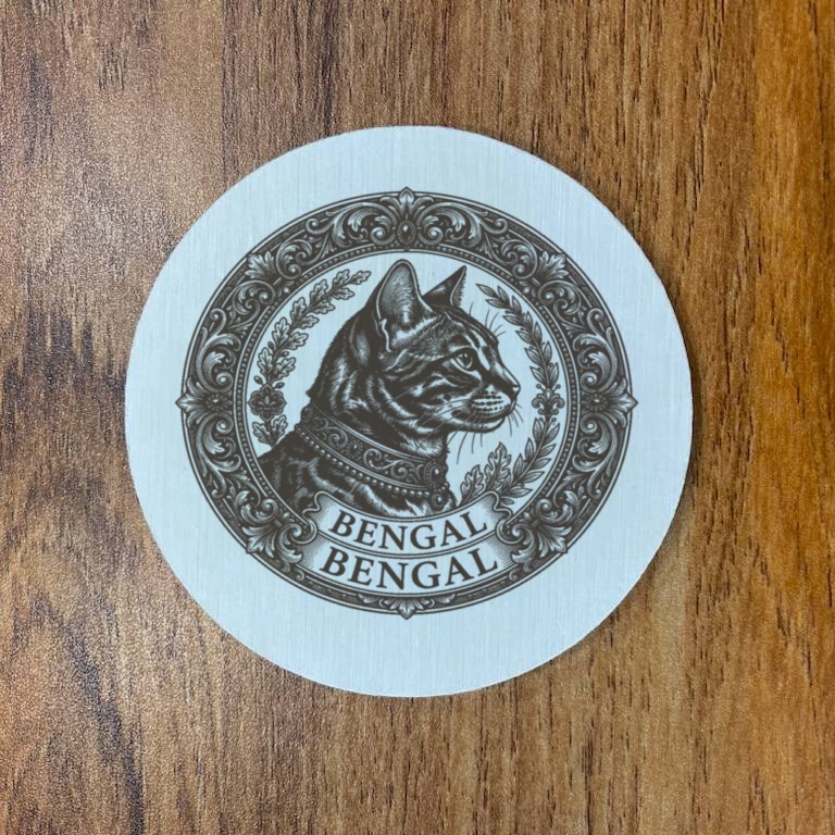 Bengal Cat — photo 3