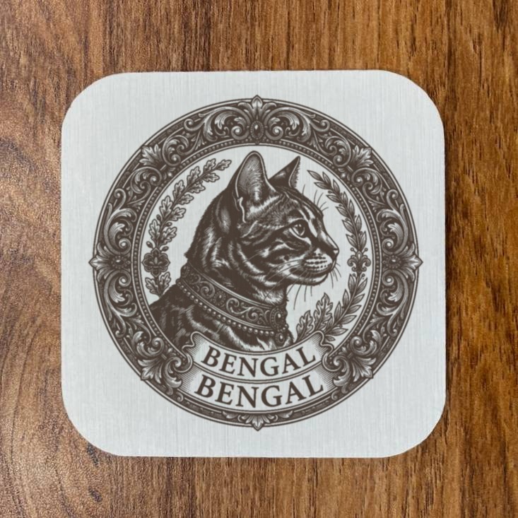 Bengal Cat — photo 4