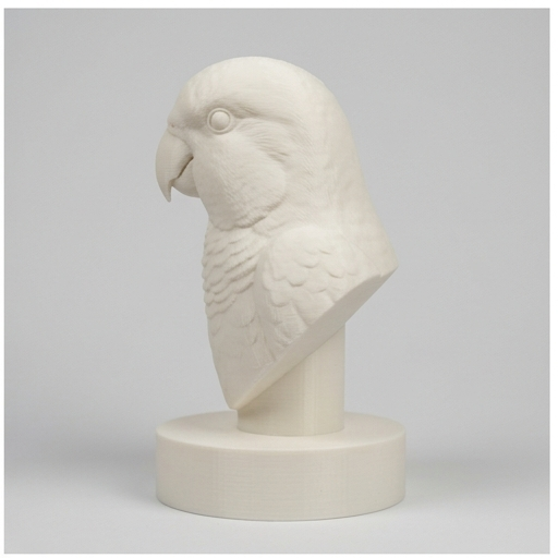 Quaker Parrot — photo 4