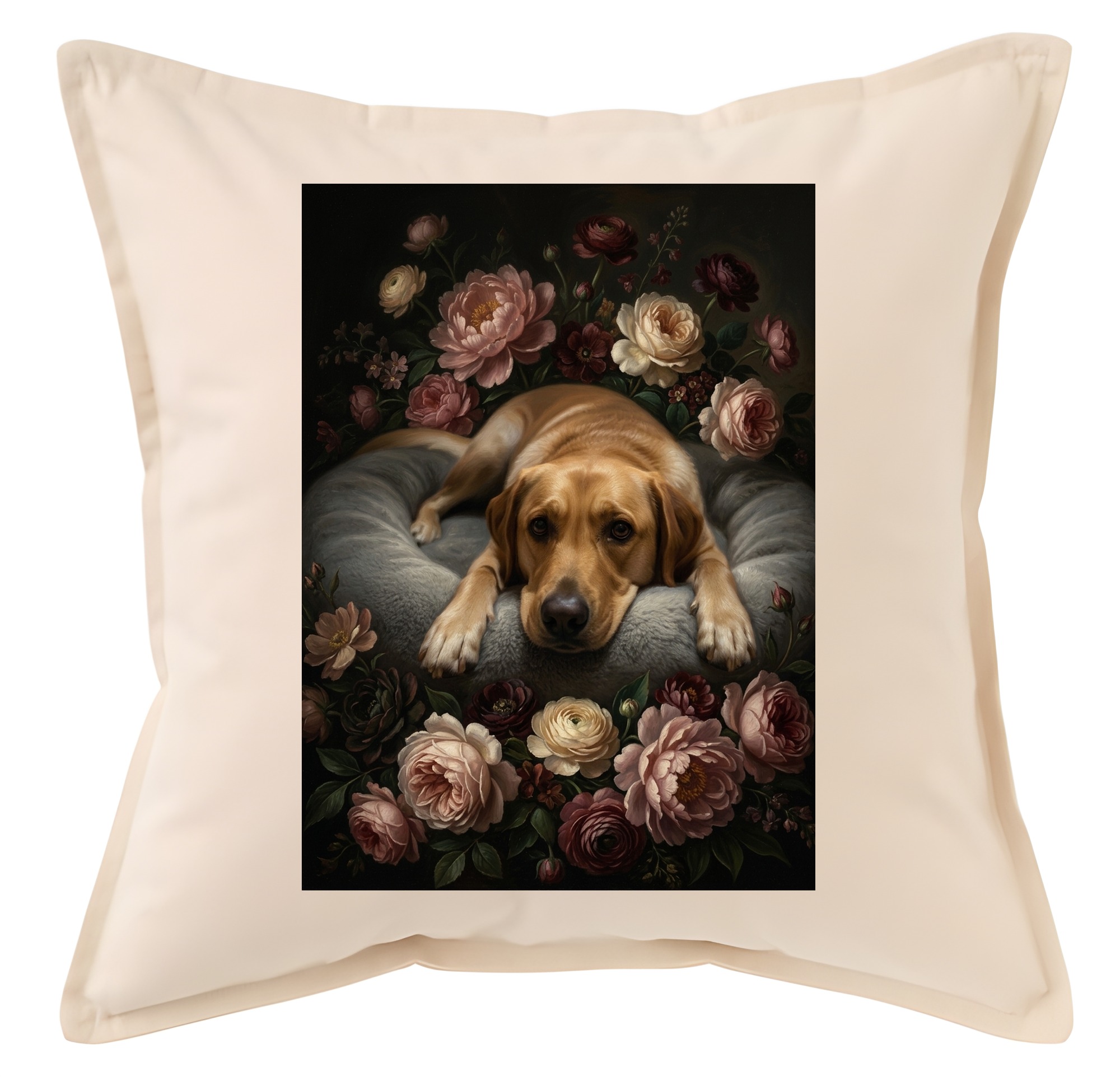 Labrador retriever Dog — photo 1