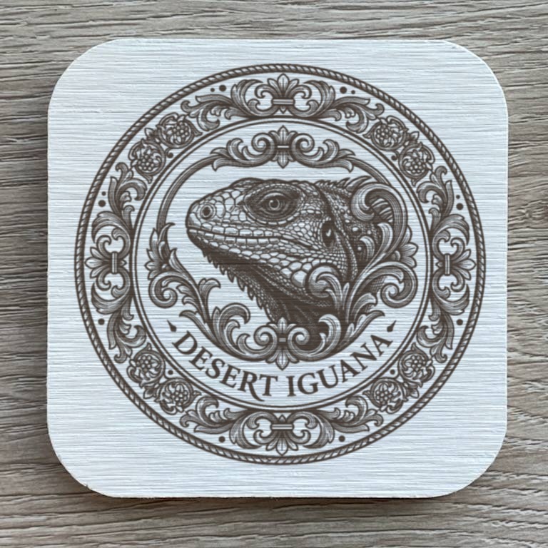 Desert Iguana — photo 1