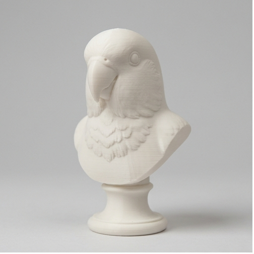 Lovebird Parrot — photo 3