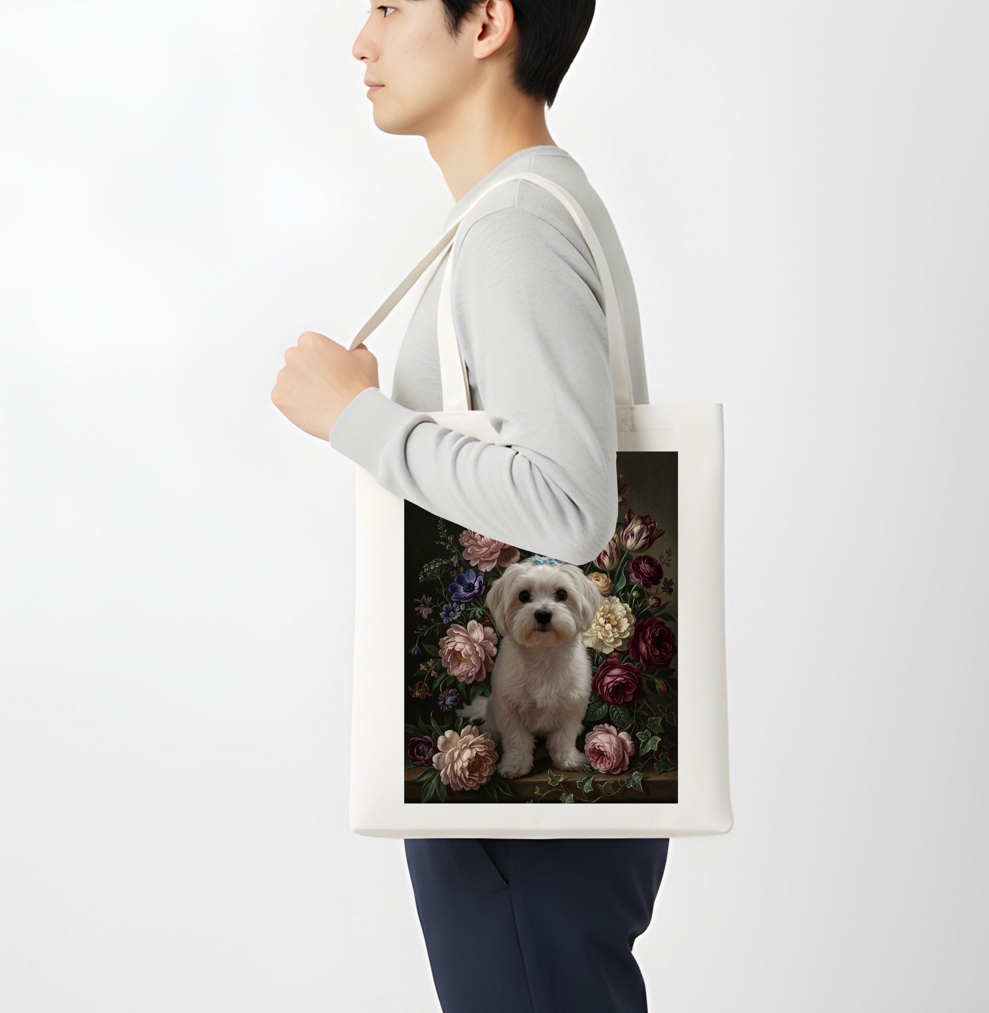 Maltese Dog — photo 4