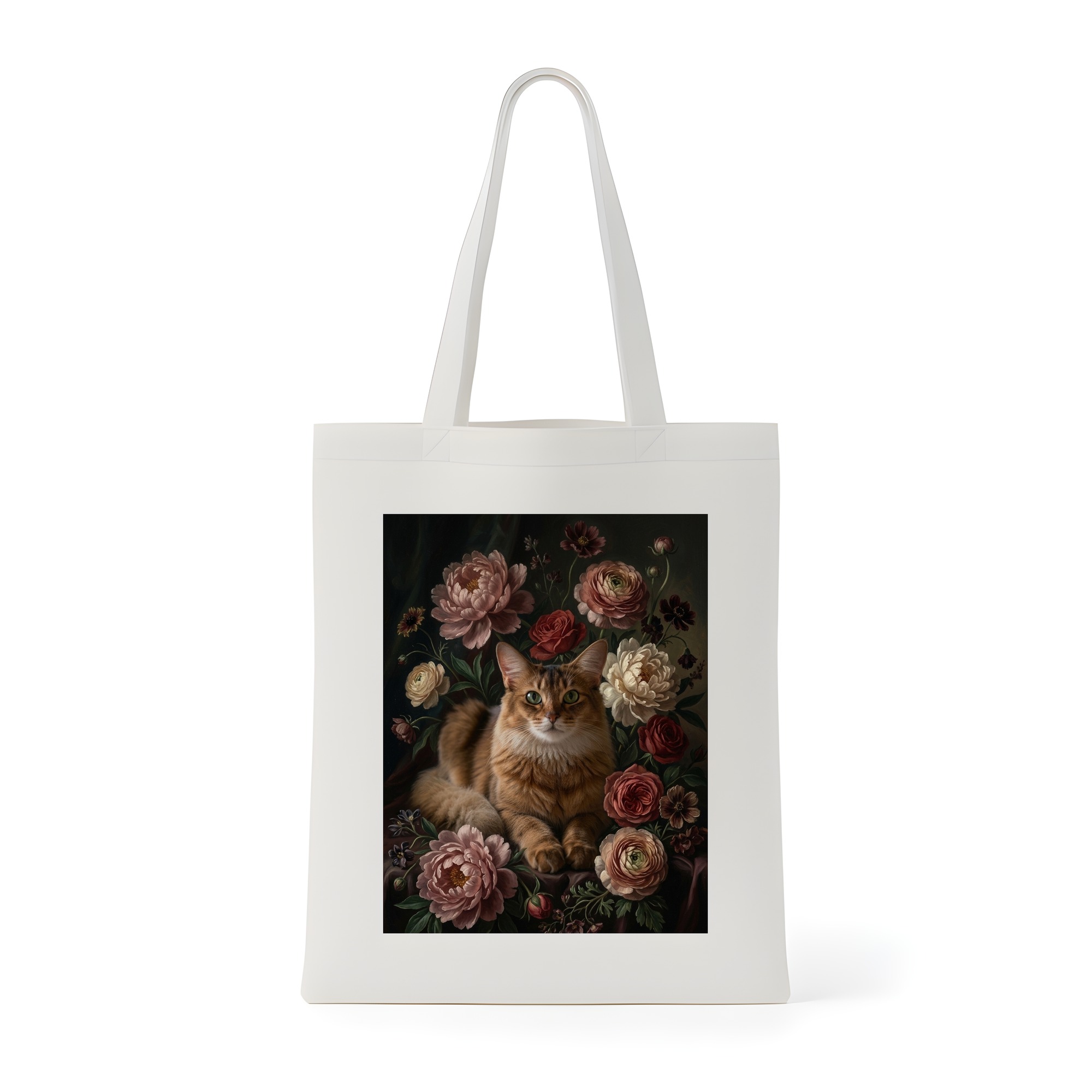 Somali Cat — photo 1