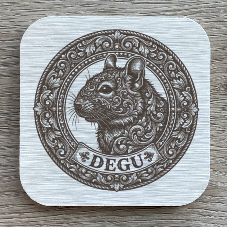 Degu — photo 1