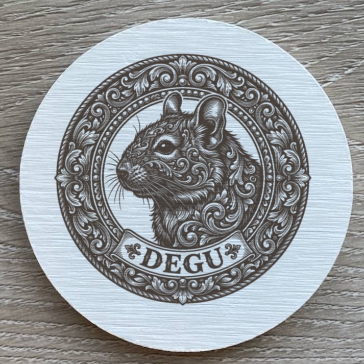 Degu — photo 2
