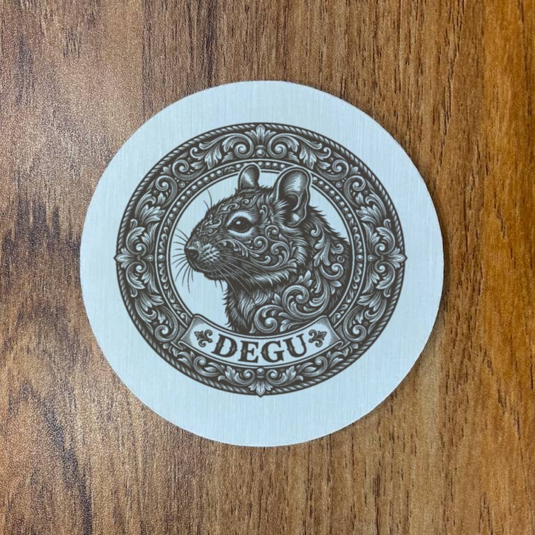 Degu — photo 3