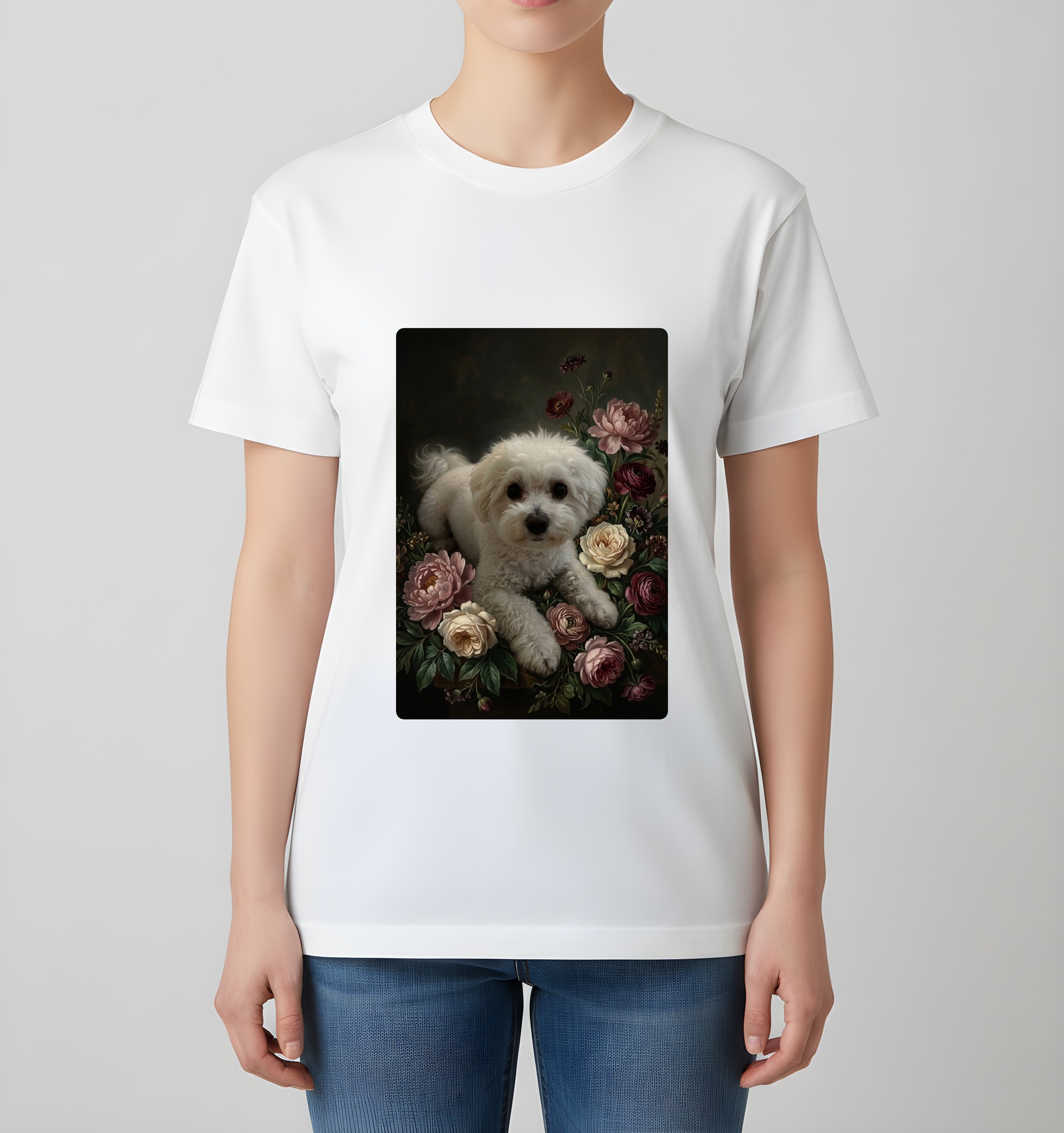 bichon frise Dog — photo 4