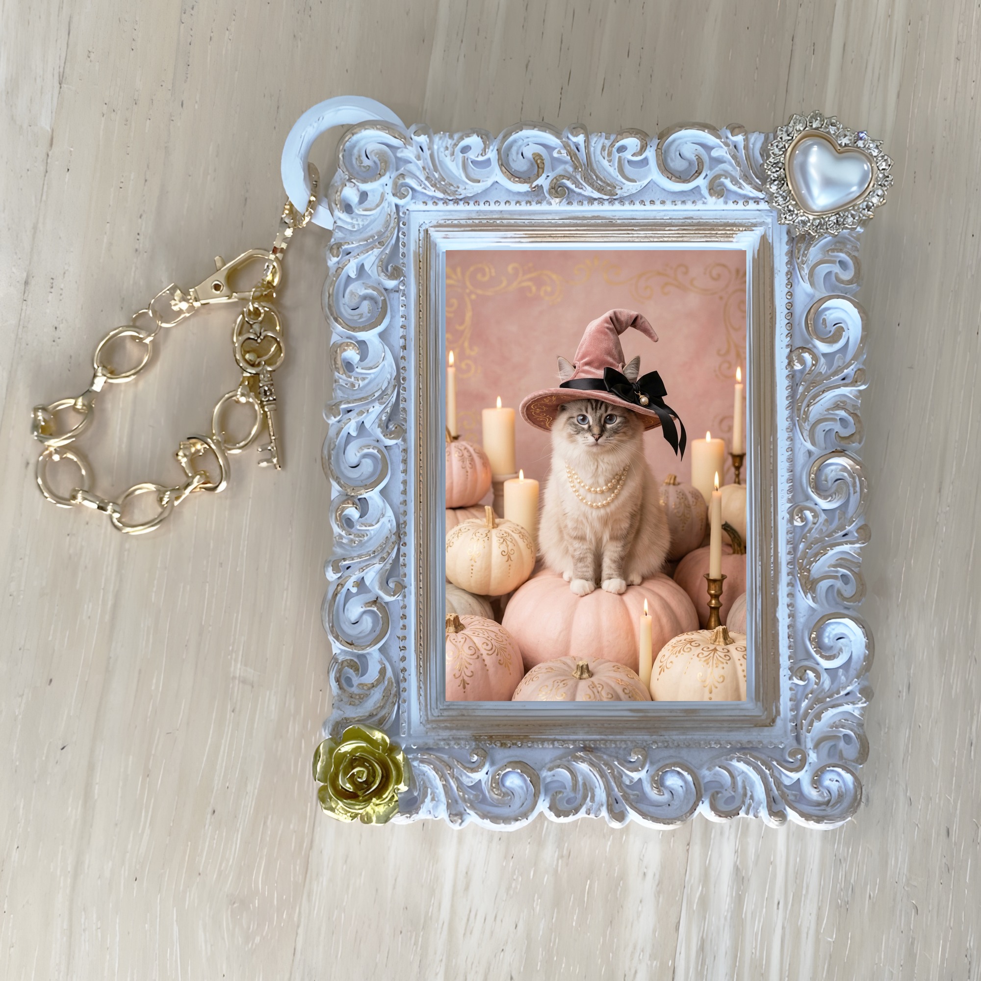 Ragdoll Cat — photo 4