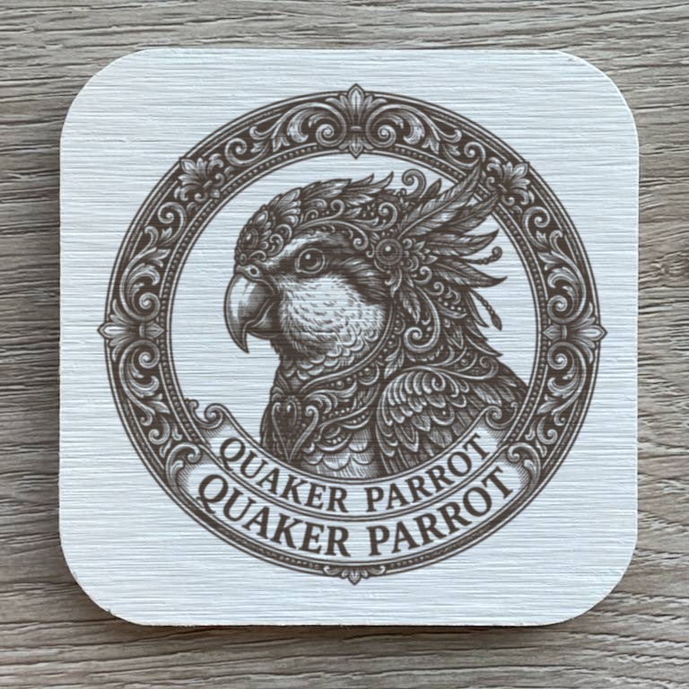 Quaker Parrot — photo 1