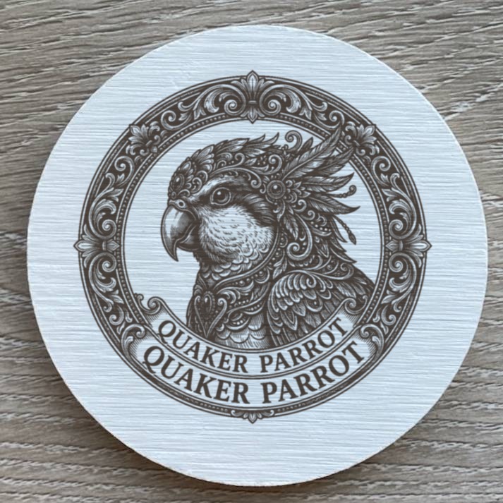 Quaker Parrot — photo 2