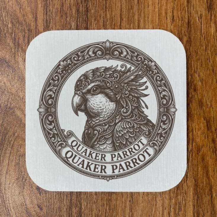 Quaker Parrot — photo 4