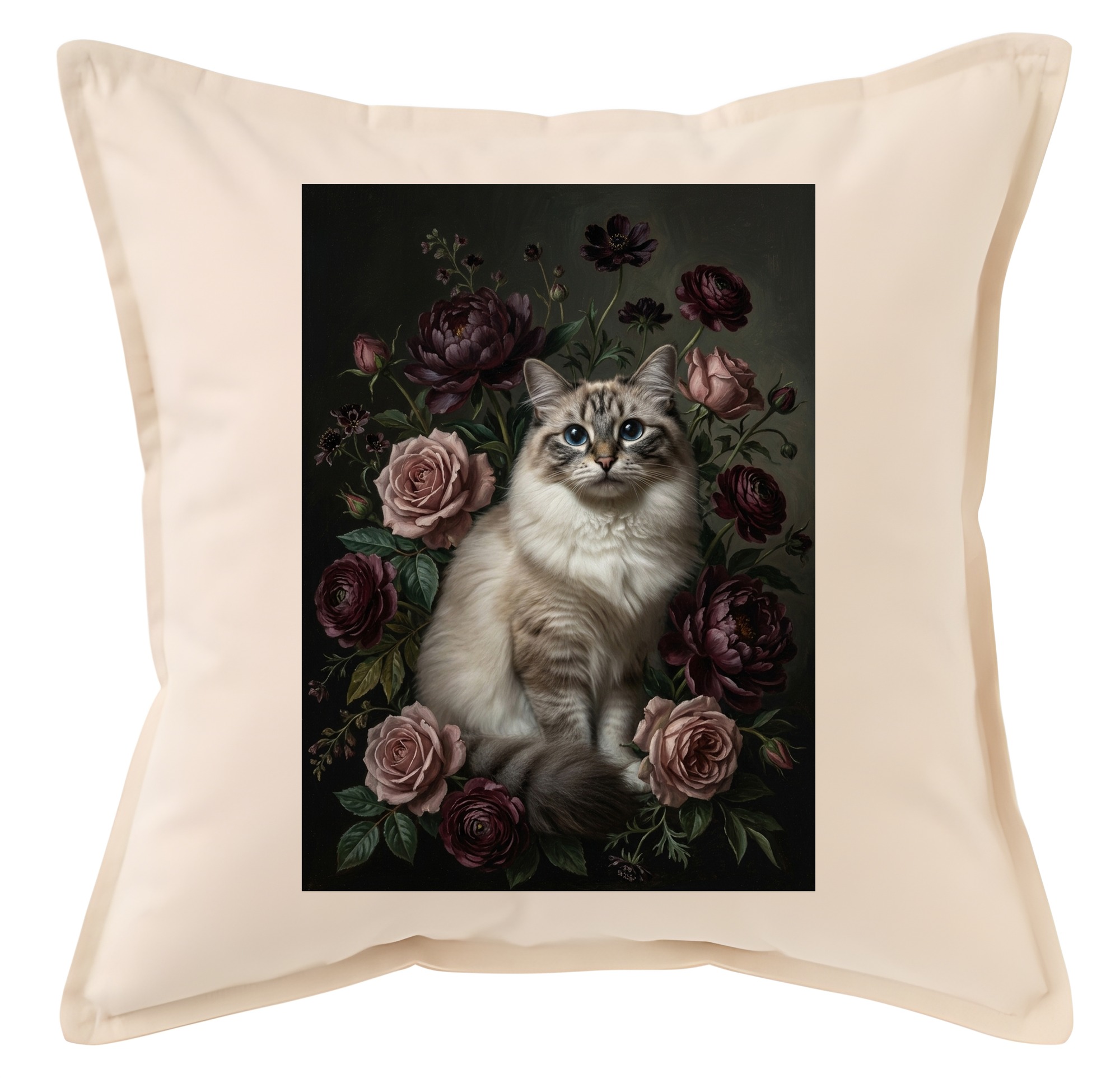 Ragdoll Cat — photo 1