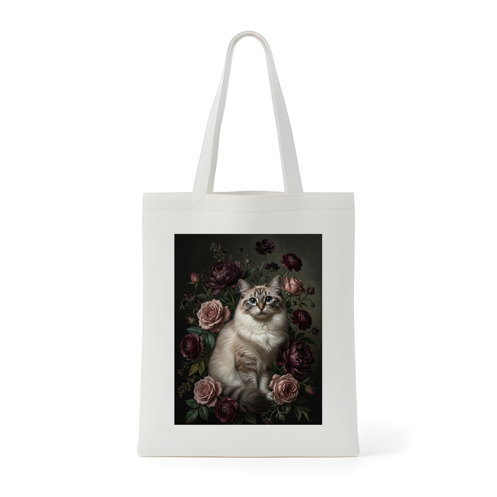 Ragdoll Cat — photo 1