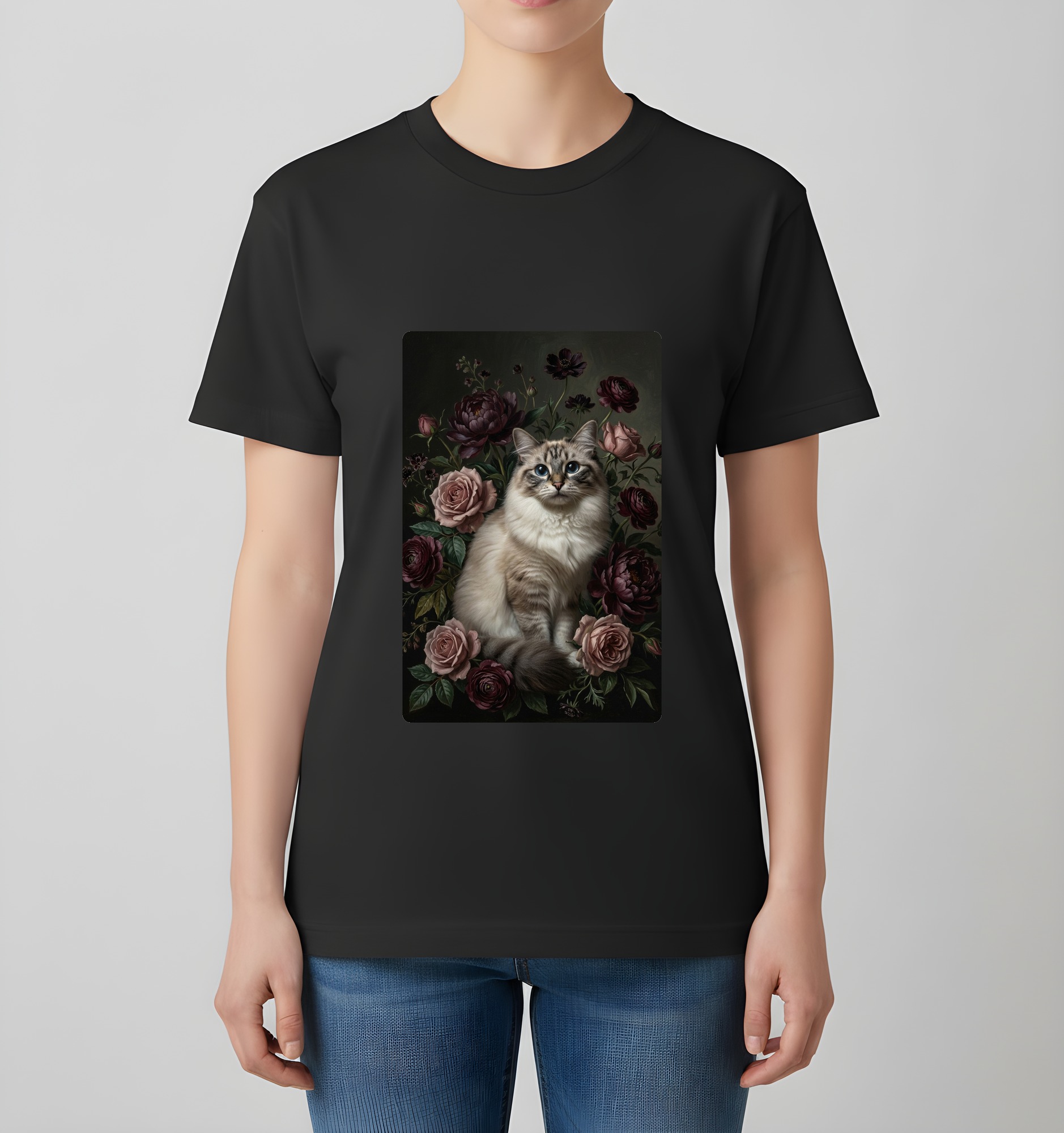 Ragdoll Cat — photo 4