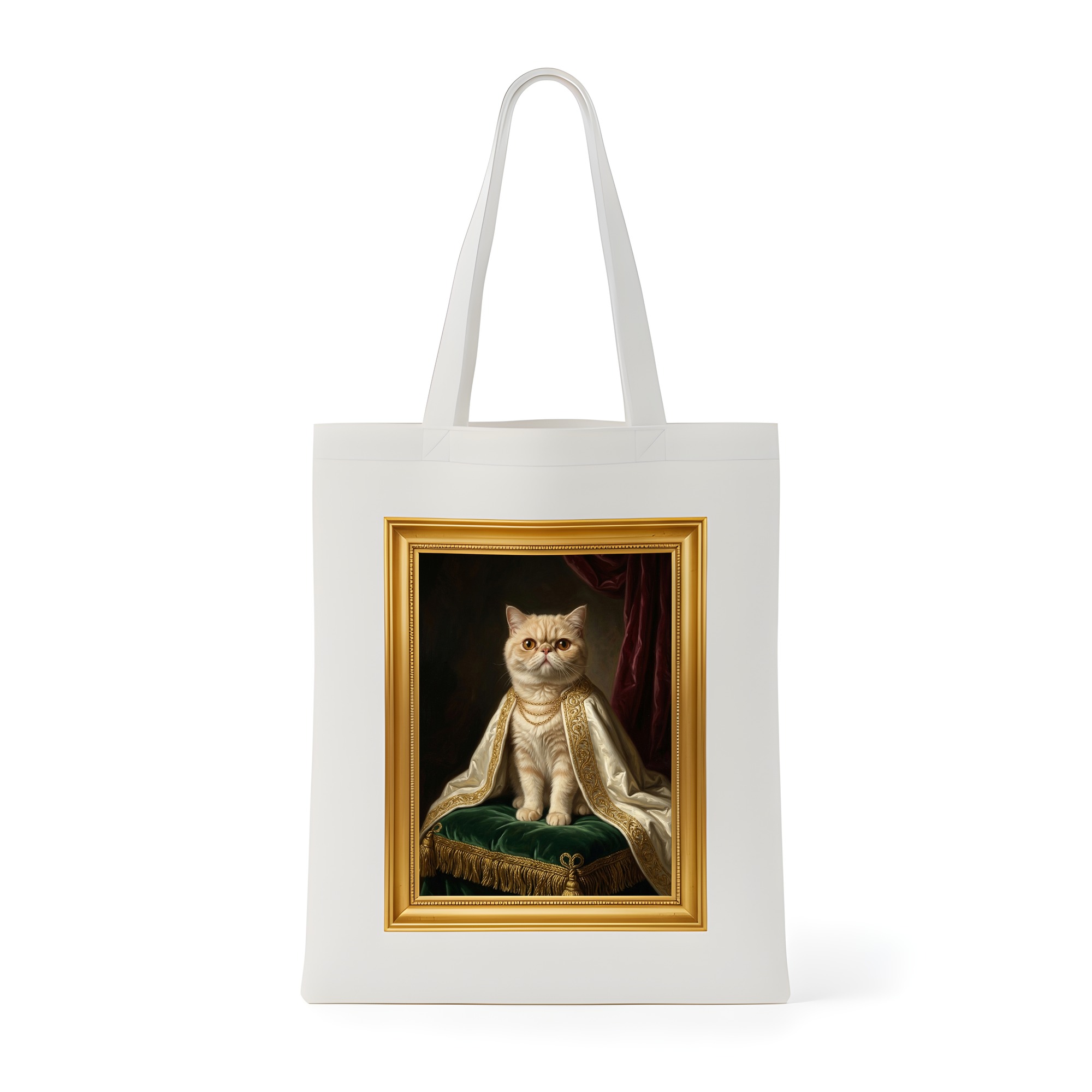 Exotic Shorthair Cat — photo 1