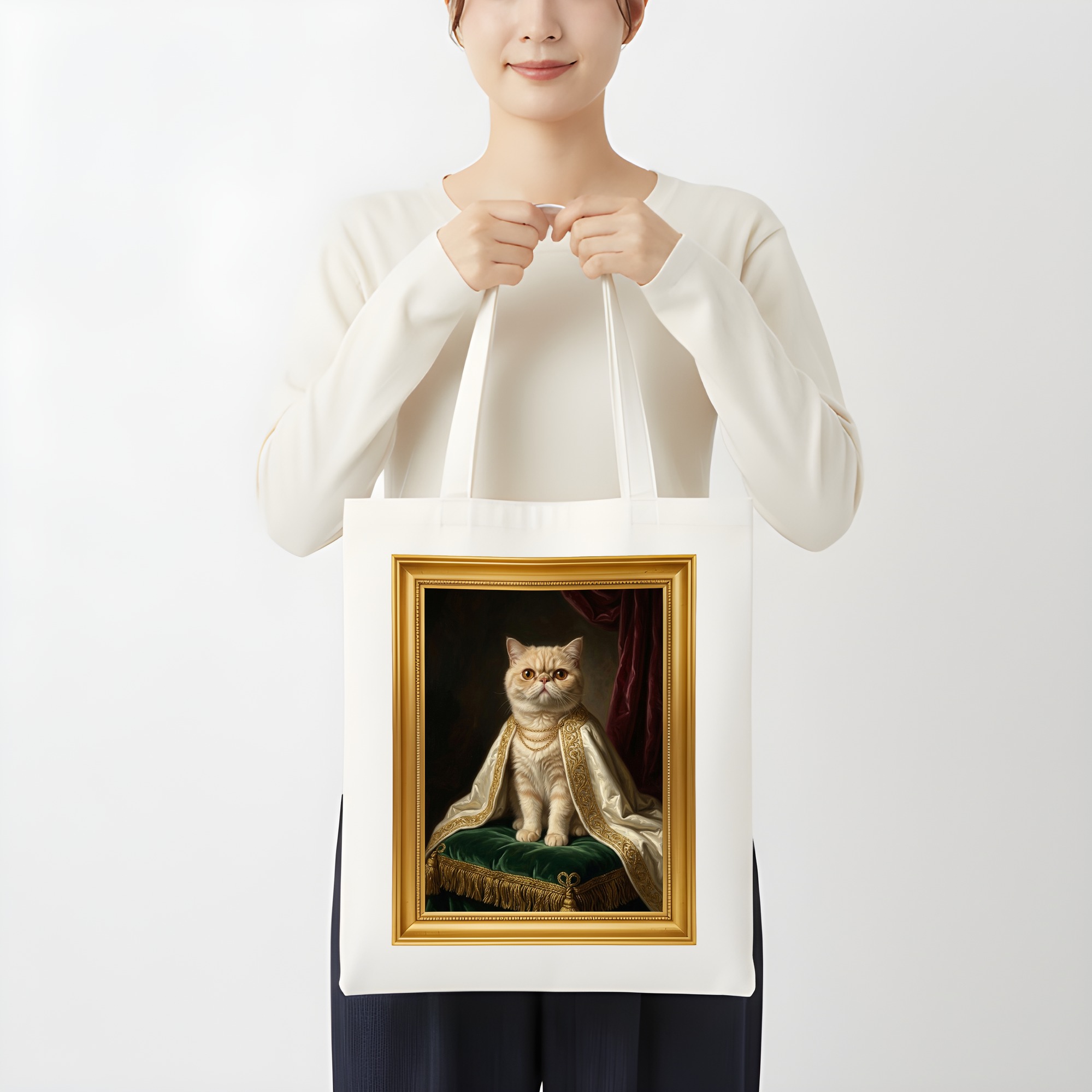 Exotic Shorthair Cat — photo 3