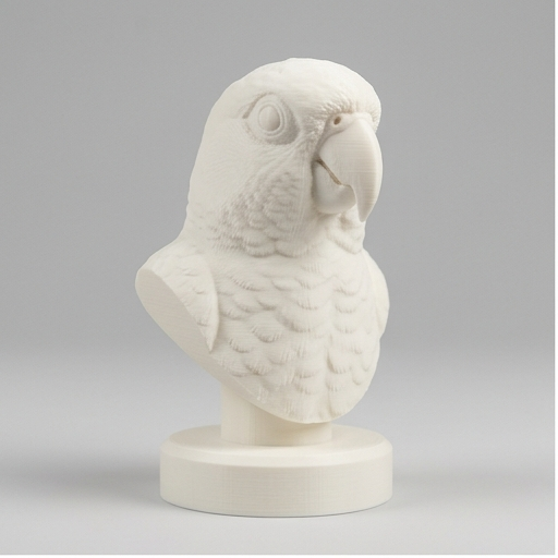 コガネメキシコインコのルネサンス肖像画胸像（3枚目）