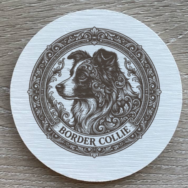 border collie Dog — photo 2