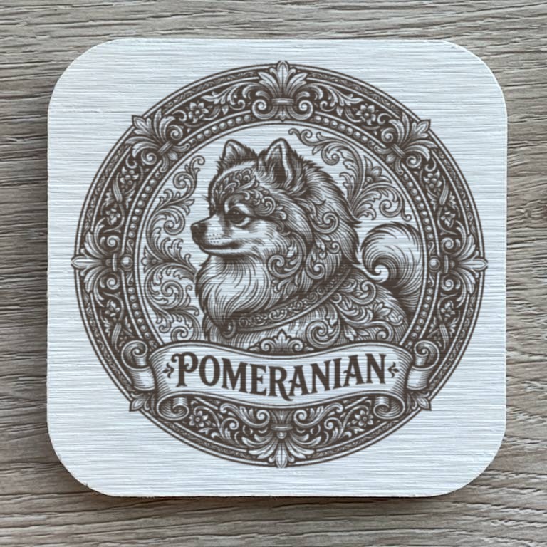 Pomeranian Dog — photo 1