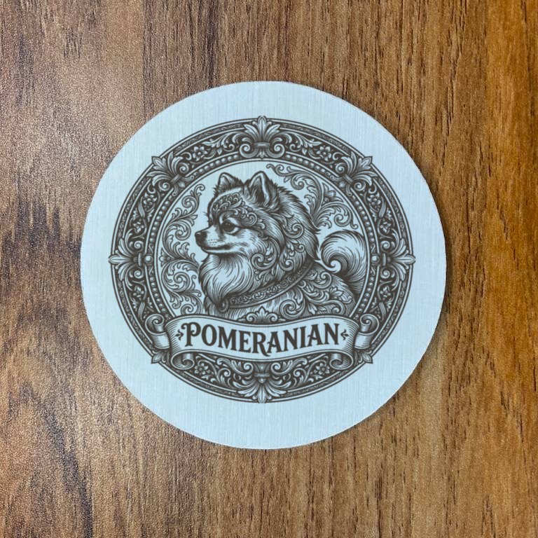 Pomeranian Dog — photo 3