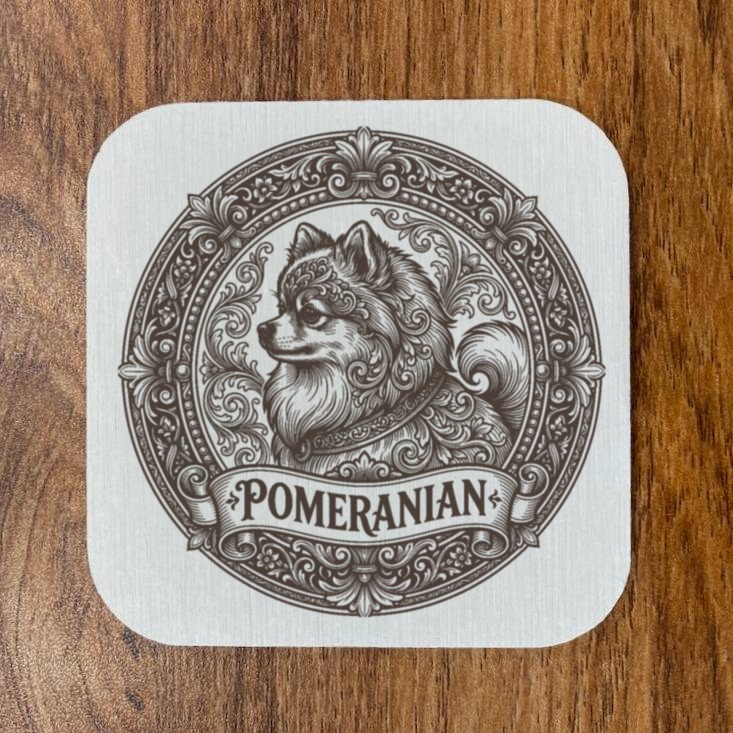 Pomeranian Dog — photo 4
