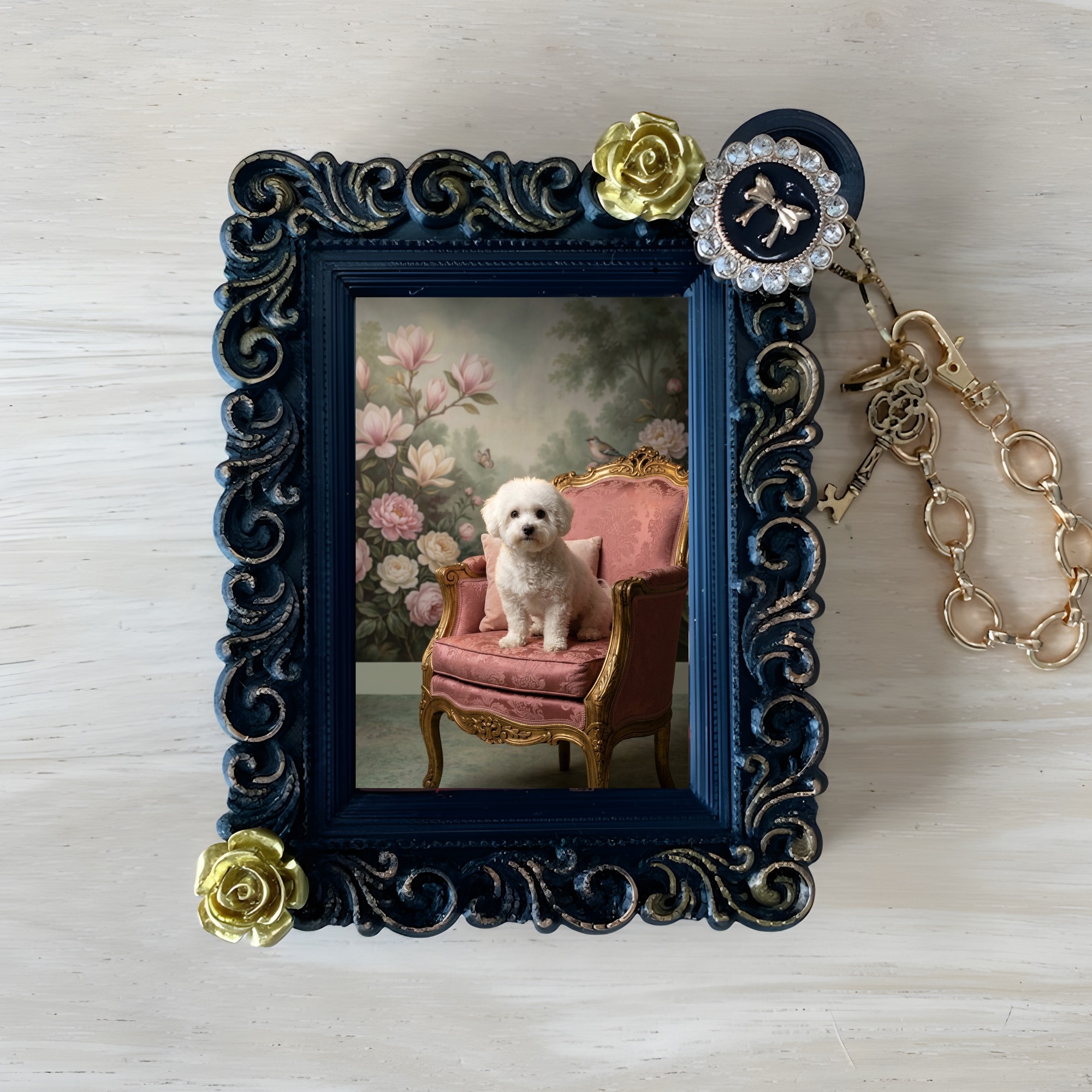bichon frise Dog — photo 1