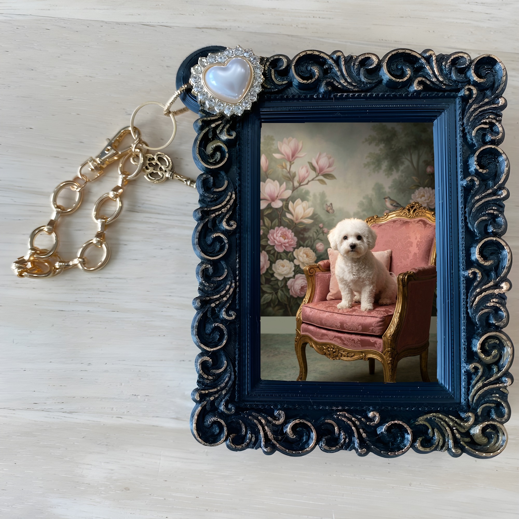 bichon frise Dog — photo 4