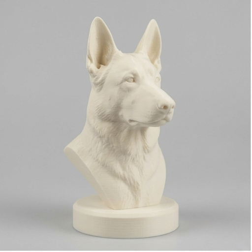 German shepherd Dog — photo 3