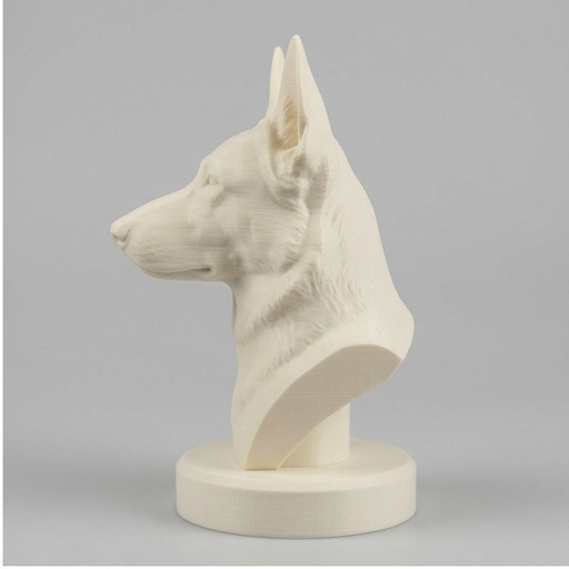 German shepherd Dog — photo 4