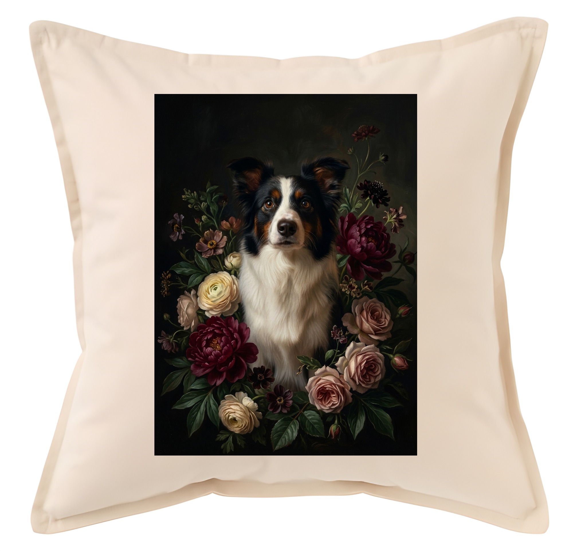 border collie Dog — photo 1