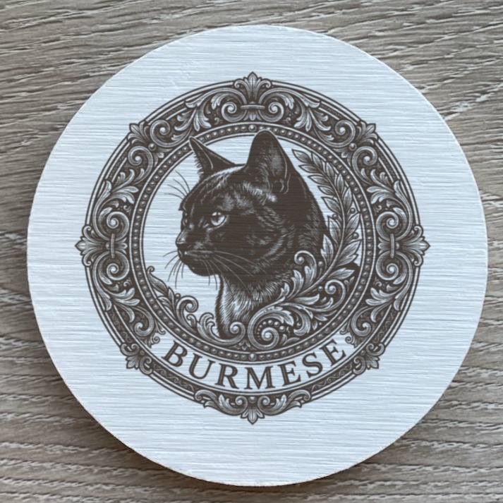 Burmese Cat — photo 2